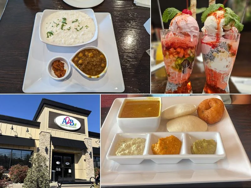 Food and dining at A2B Indian Veg Restaurant - Princeton